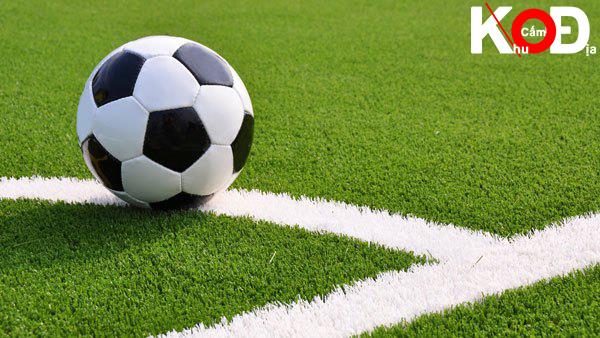 Pengalaman Taruhan Liga Kecil
